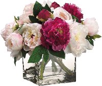 Grand Peony Arrangement in Square Clear Vase
