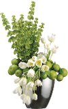 Tulip and Greenery Arrangement
