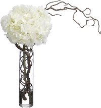 Hydrangeas and Curly Willow Arrangement in a Clear Vase