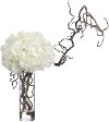 Clearance Hydrangea and Curly Willow Arrangement in Clear Vase