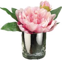 Pink Peony Arrangement in a Glass Vase