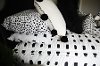 Beddy's Queen White and Black Dash Bedding Collection-8
