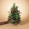 24 Inch Mixed Pine Tree in Burlap Base