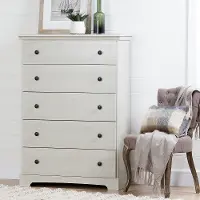 10245 Winter Oak 5-Drawer Chest - Avilla