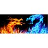1171902 Fiery Dragons-1