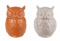 Assorted Orange or White Owl Canister