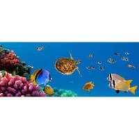 1171927 Underwater Panorama