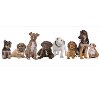 1172405 Line of Puppies