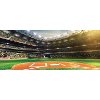 1172401 Professional Baseball Field