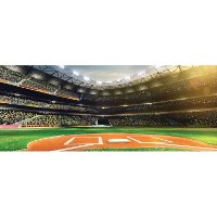 1172401 Professional Baseball Field
