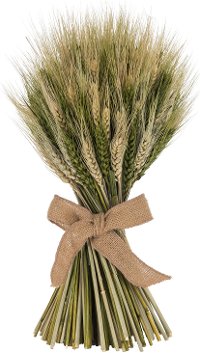 16 Inch Wheat Stack with Green Cycas Leaf with a Jute Bow