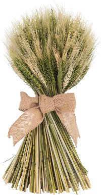 13 Inch Wheat Stack with Green Cycas Leaf with a Jute Bow