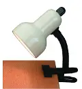 Ivy Adjustable Student Desk Lamp - Clip-On