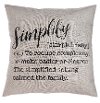 Gray Simplify Definition Throw Pillow