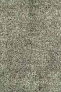 CALISA/CS5FO8X10 Calisa 8 x 10 Fog Gray Area Rug