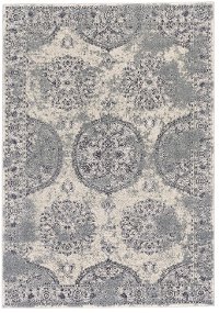 5 x 8 Medium Silver and Beige Area Rug - Akhari