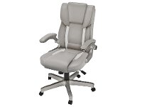 Taupe Gray Executive Office Chair