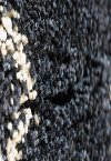 5 x 8 Medium Ivory & Navy Blue Shag Rug - Elements-2