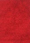 3 x 5 Small Red Shag Rug - Fun Shags