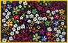 3 x 5 Small Floral Area Rug - Fun Time