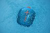 984000840 Ultimate Ears WONDERBOOM Portable Bluetooth Speaker - Blue-4