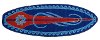 2 x 5 Runner Red & Blue Surf Board Area Rug - Surf Time