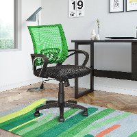 Light Green and Black Mesh Office Chair - Workspace