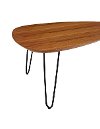 Walnut Coffee Table (32 Inch) -2