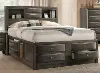 Clearance Emily Gray Queen Storage Bed