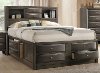Contemporary Gray Queen Size Storage Bed - Emily