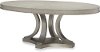 Shadow Gray Contemporary Oval Dining Table - Cinema