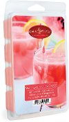 7972 Watermelon Lemonade 5oz Wax Melt - Candle Warmers