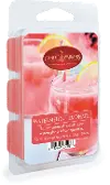 Watermelon Lemonade 2.5oz Wax Melt