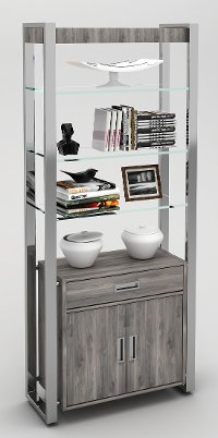 Glass and Chrome Bookcase