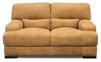 Casual Contemporary Palomino Brown Leather Loveseat - Stallone
