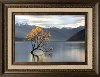 Undisturbed Framed Wall Art