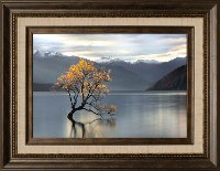 Undisturbed Framed Wall Art