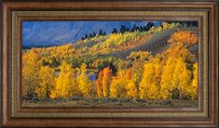 Ranger Peak and Autumn Forest Framed Wall Art