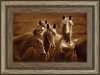 Bad Girls Horses Framed Wall Art