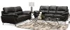 Contemporary Dark Gray 2 Piece Living Room Set - Galactica