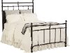 Clearance Magnolia Home Furniture Trellis Black King Metal Bed - Traditional