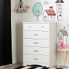 100184 Five-Drawer Chest with Night Garden House in the Hood Wall Decals - Tiara -1