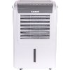 DH70W 70-Pint Dehumidifier-1