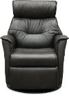 Charcoal Gray Leather Compact Swivel Glider Power Recliner - Captain
