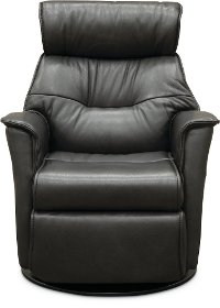Charcoal Gray Leather Compact Swivel Glider Power Recliner - Captain