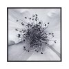 Rose Center Gel Coat with Black Frame Wall Art