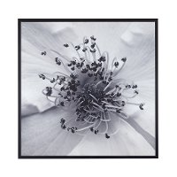 Rose Center Gel Coat with Black Frame Wall Art