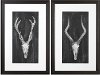Assorted Rustic European Mount Framed Wall Art