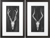 Assorted Rustic European Mount Framed Wall Art