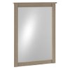 Ash Gray Mirror - Somerset -2